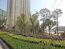 雁北路繁华地段 中广 尚城 大平层 好房急售