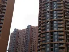 房子南北户型,通风好,前排无遮挡,价格低