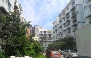 东福苑A区2室2厅东南南