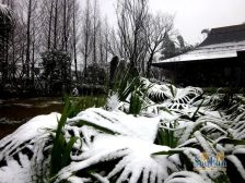 龙湖小院青城 2室2厅 南