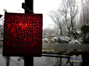 龙湖小院青城 3室3厅 西南