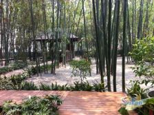 龙湖小院青城 2室2厅 东南