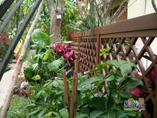 龙湖小院青城 2室1厅 南 北