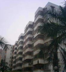 建新路2室1厅东北