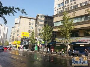 至诚新居2室1厅南北