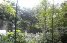 西区花园森之源 4室2厅 东南