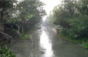 江南宅院4室2厅南