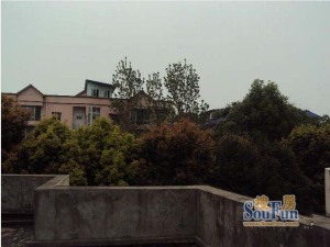桃花源别墅6室3厅西南