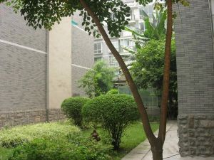 升晖嘉苑 3室2厅 南