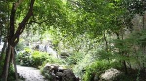 西区花园晨之曦4室2厅东南