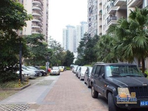 风景蓝水岸3室1厅西南