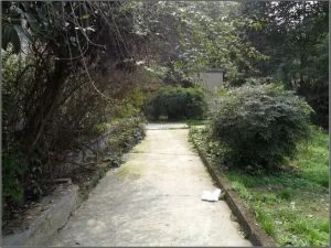 农行宿舍 3室1厅 东南