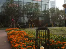 精装修顶跃洋房带屋顶花园南北通透带双车位