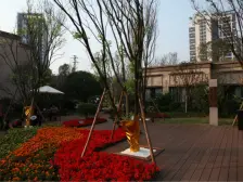 17号线旁次新纯洋房小区南北通透一梯两户住家精装