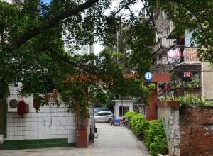 广西办事处宿舍区步梯两房满五不唯一采光好
