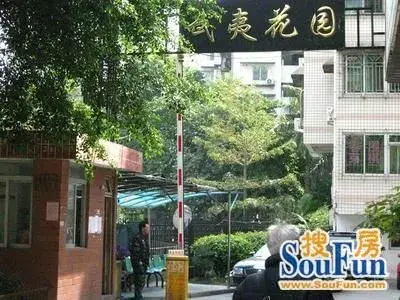 武夷花园