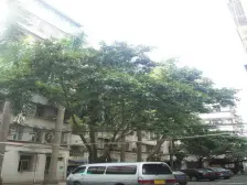 南北通透,采光好,户型好,楼层好。