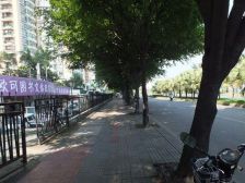 君临闽江,邻水而立,沿闽江公园,人车分离,端头三面