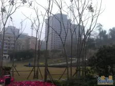 石马河 凤凰湾四房520万