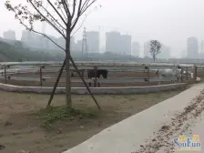 石马河 凤凰湾三房118万