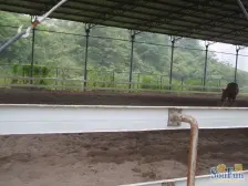 石马河 凤凰湾二房82.4万