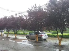 新县城好位置,电梯两室,已装修拎包住