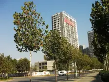 花园洋房小高层锦绣苑急售三房环境好物业好交通便利