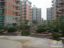 带平台,步梯低层,没有按揭,视野开阔,采光充足