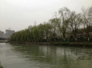 沙河锦庭1室1厅南
