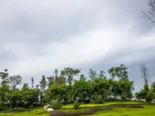 传化国际商务区 2室2厅 南