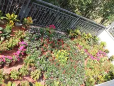 毛坯的小三房,可根据自己喜好装修