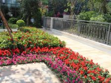 世纪城凯旋湾花园109平精装修中高楼层,朝南通风好