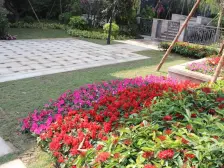 世纪城凯旋湾花园 3室2厅 南