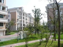 金水湾花园 此房无大税,采光好,小区环境好