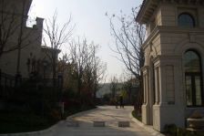 南通纯别墅 顺发御园 双排 南入户 毛坯 大花园