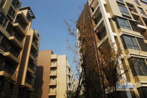 上栖美塾2室1厅西南