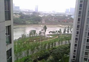 东苑锦江派1室1厅西
