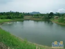 万宁国瑞城 南北通通两房拎包急售 配套好 有门店还有其他参考