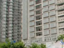 看江景,近陆家嘴,单身外地人可买,租金可观