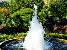 户型方正,采光好,物业负责,绿化特好小区,人车分流