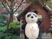 复兴中路花园公寓,售后公房,满五一套免税,产证在手,价到即签