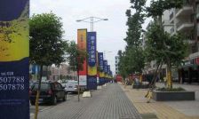 河滨鹭岛 2室1厅 西南