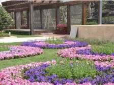 青秀城 2室1厅 南