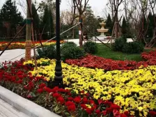 青秀城 4室1厅 南