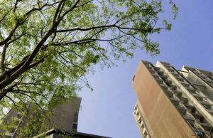上锦康城B期1室1厅东南
