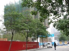 恒大都汇华庭 1室1厅 西