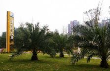 和信孔雀天成 3室2厅 东