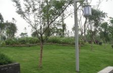 成都合院一期 6室3厅 西南 东北