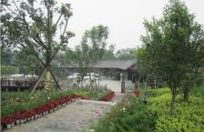 成都合院一期 3室1厅 东南