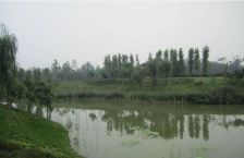 成都合院公园里 7室2厅 东南